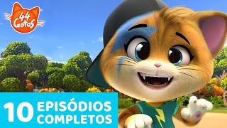 44 Gatos  Latinoamérica  10 Episodios Completos 🐈🐾  Gatástica Colección de la Temporada 1 [upl. by Sim275]