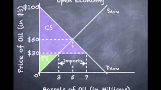 Welfare Effects of Trade Policy [upl. by Alyehs]