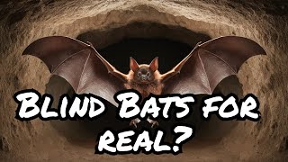 Are Bats Blind The Truth Will Surprise You 🦇💡 [upl. by Amerd]