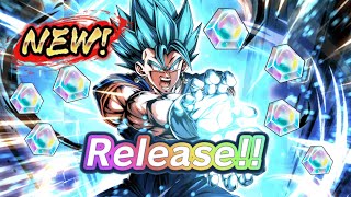 SUMMONS FOR LF VEGITO BLUE  Legends Festival 2024  Dragon Ball Legends [upl. by Gefen698]