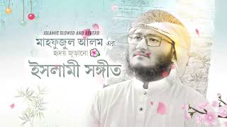 Kalima Nasib More Dio  কালিমা নসিব মোরে দিও  Bangla Gojol 2024  Islamic Slowed And Reverb [upl. by Oretna]