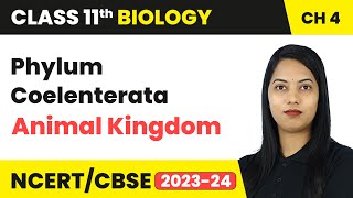 Phylum Coelenterata  Animal Kingdom  Class 11 Biology Chapter 4  CBSE [upl. by Georgette856]