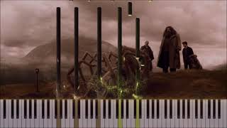 Nicholas Hooper  Farewell Aragog Synthesia Piano [upl. by Secnarf652]