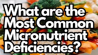 What are the Most Common Micronutrient Deficiencies [upl. by Slin587]