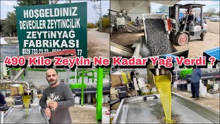 490 Kilo Zeytinden Bakın Kaç Kilo Zeytinyağı Çıktı  Deveciler Fabrikası Osmaniye [upl. by Allista]