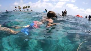 Belize Snorkeling Part 1  All [upl. by Nayar]