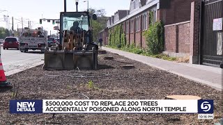 500000 price tag to replace the 200 trees accidentally poisoned on North Temple [upl. by Tades783]