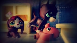 Littlest Pet Shop ♛King Of Time♛ Episode 1 Kidnapping [upl. by Yrome]