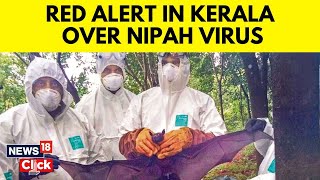 Nipah Virus News Today  Kozhikode on High Alert As Nipah Virus Takes Two Lives In Kerala  N18V [upl. by Wan]