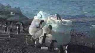 Antarctica in 5 minutes [upl. by Negem]