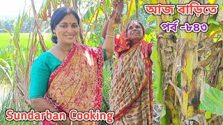 আজ দুপুরে চাকুল মাছের ঝোল চিংড়ি দিয়ে ধুন্দুল ও কলমি শাক ভাজি দিয়ে দুপুরের খাওয়াপর্ব ৮৪৩ [upl. by Enerahs]