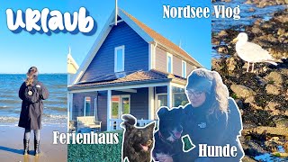 Roomtour Ferienhaus  Nordsee Urlaub mit Hunden ● Vlog 32 [upl. by Sherrill]