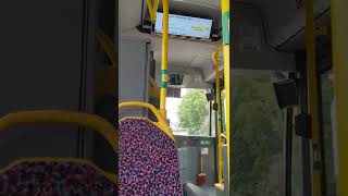 BVG Berlin Mitfahrt Schienenersatzverkehr Straßenbahn Linie M4 Hohenschönhausen Weißensee [upl. by Aynotel934]