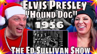 Elvis Presley quotHound Dogquot October 28 1956 on The Ed Sullivan Show reaction  THE WOLF HUNTERZ [upl. by Wakefield180]