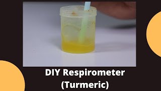 DIY Respirometer Turmeric  Class 10 Science Lab Experiment [upl. by Yllak]