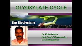 GLYOXYLATE CYCLE [upl. by Llezo]