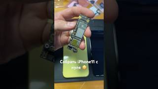 iPhone 11 собрать с нуля 😳 рокетремонт iphone11 айфон paulvandyk letgo reagarvey [upl. by Devi230]