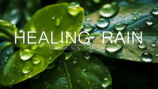 Rainstorm Sounds for Relaxing Focus or Deep Sleep Nature White Noise 3 Hour Video [upl. by Ennayehc]