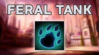 Guide to Feral Druid for Tanking in 105 Seconds [upl. by Krys]