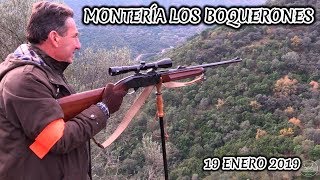 MONTERÍA LOS BOQUERONES 2019 VILLAVICIOSA DE CÓRDOBA HUNTING 29 [upl. by Erised]