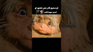 قرد سحري قادر على تحقيق اي امنيه مهما كانت 🐒🪄 [upl. by Ylellan879]