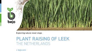 BEJO  Plant raising of leek [upl. by Raffaello]