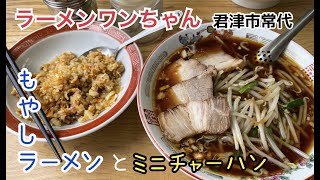 【ワンちゃんラーメン】君津常代店🍜 [upl. by Damahom]