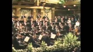 Stürmisch in Lieb und Tanz Op393 Johann Strauss Jr [upl. by Zsa]