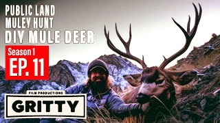 SEASON 1  EP 11  MULE DEER  GRITTY FILMS [upl. by Omarr]