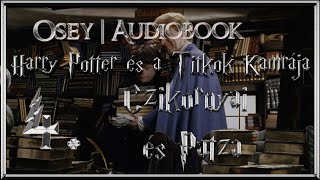 Harry Potter és a Titkok Kamrája hangoskönyv  4 fejezet [upl. by Reube]