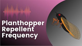 Planthopper Repellent Sound [upl. by Jobyna]