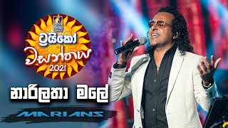 Narilatha Male  නාරිලතා මලේ   Trico වසන්තය with MARIANS [upl. by Saleme674]