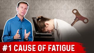 Number ONE Cause of Chronic Fatigue 50 Years or Older [upl. by Shien]