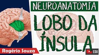 LOBO DA ÍNSULA Aula Nova  Neuroanatomia Funcional com Rogério Souza [upl. by Newnorb]