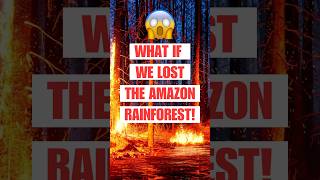 The Catastrophic Consequences of Losing the Amazon Rainforest [upl. by Suiradel]