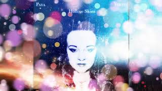 Paya amp Youth  Hollow Skies Full Album [upl. by Alor319]