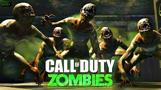 Call of Duty Black Ops Zombies  Perfect Gameplay Experience [upl. by Milah]