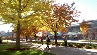 Overview of Brigham Young University [upl. by Madora]