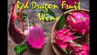 Fermentasi Buah Naga Merah  Red Dragon Fruit Wine Part 1 [upl. by Ajaj]