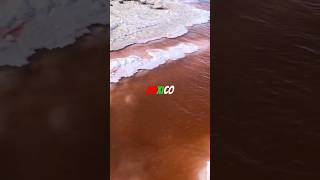 Mexico natural Pink Salt Pools art nature naturelovers wildlife explore travel mexico [upl. by Gabrila292]