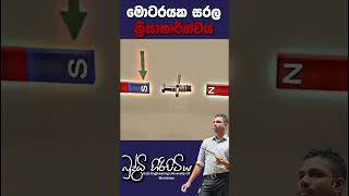 මොටරයක සරල ක්‍රියාකාරීත්වය buddhihiripitiyasciencefield sciencephysicsmotivationaldigiphysics [upl. by Anirres]