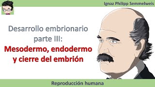 Desarrollo embrionario parte III Mesodermo endodermo y cierre del embrión [upl. by Wahkuna]