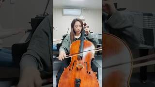 Haydn Cello Concerto in C 1 Exposition cellist cellomusic [upl. by Emsoc]