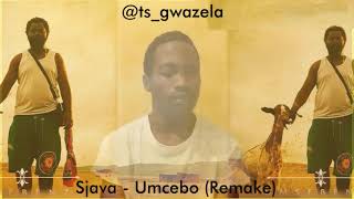 Umcebo  Sjava remake [upl. by Bevin]