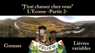 Jirai chasser chez vous lEcosse 2ème partie  chasse à la grouse et au lièvre variable [upl. by Ellenet]