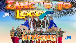 LOS HITSONG  Zancudo loco JM PRODUCTIONS [upl. by Haras]