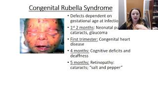 Rubella video [upl. by Dacey]