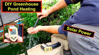 CHEAP Greenhouse Pond Heater DIY  Heating The Pond With Compost  Part 1  Winter 2425 [upl. by Lightman]