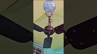 GEC Kingsway Minor amp GEC Madras 1932 Made in England ceilingfan tiktok shorts kipasangin [upl. by Anizor443]