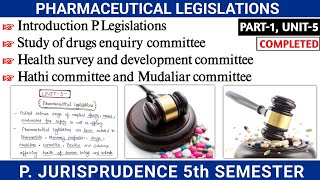 Pharmaceutical legislation  L1 Unit5  Pharmaceutical Jurisprudence  Graceful Pharma [upl. by Ennaitsirk]